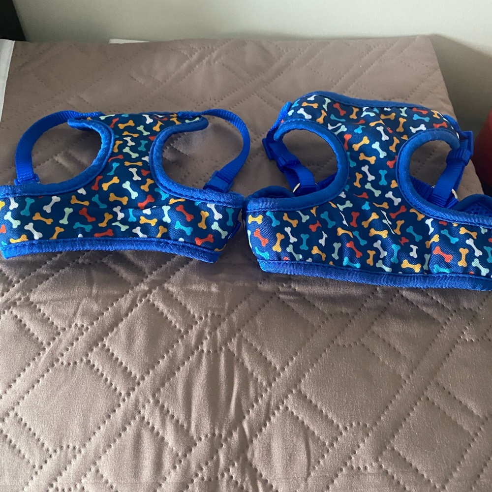Colorful top paw puppy  Harness Set size xxs and xs perfect for growing